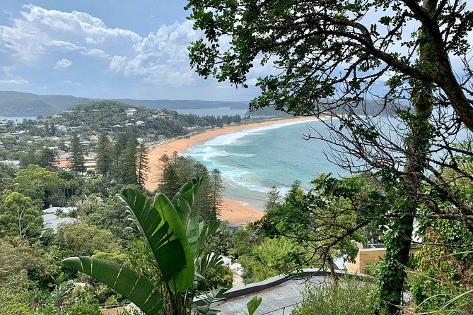 Sydney's Northern Beaches & Ku-ring-gai National Park Small Tour departing Manly - Ku-ring-gai Chase National Park: Walk, Learn, and Feel the Place