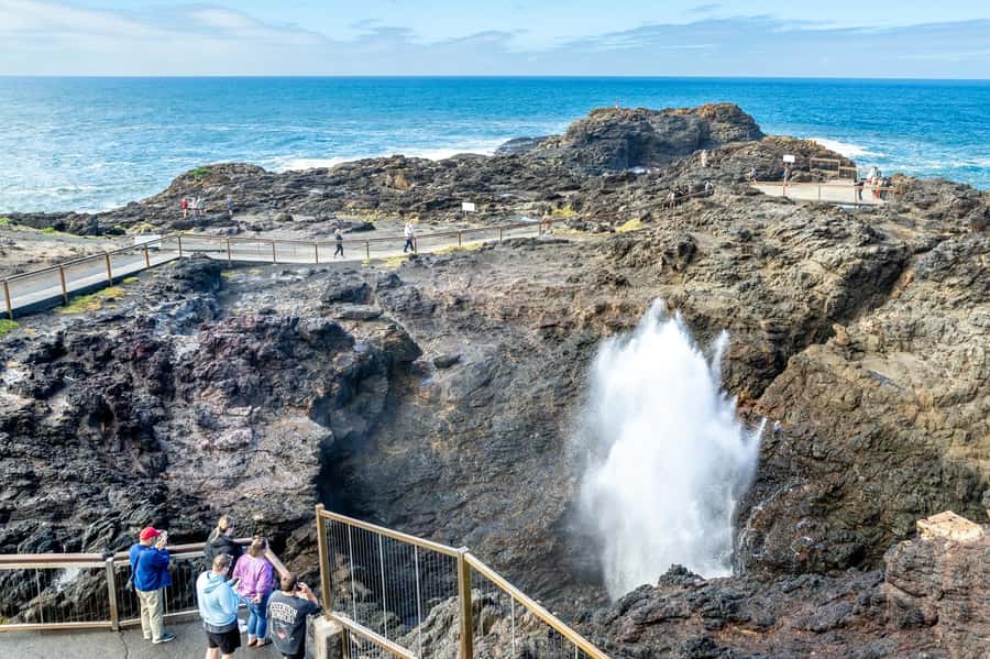 Sydney: Sea Cliff Bridge, Kiama Blowhole and Farmlands Tour - A South Coast Day That Actually Changes Your Perspective