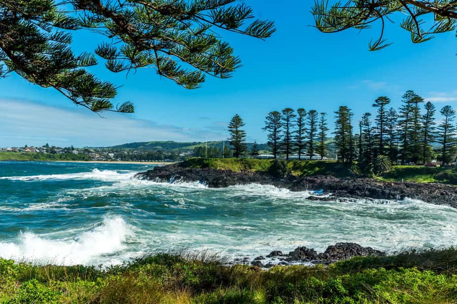 Sydney: Sea Cliff Bridge, Kiama Blowhole and Farmlands Tour - Wildlife and Birds: What You Should Look For (And How to Enjoy It)