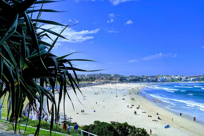 Sydney Secrets and Bondi Beach 4 HOUR AFTERNOON PRIVATE TOUR - Bondi Beach in 1 hour: swim, promenade, and lunch on the water