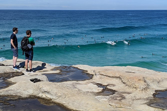 Sydney Secrets and Bondi Beach 4 HOUR MORNING PRIVATE TOUR - Botanic Garden and Art Gallery: Quick Culture With Good Payoff