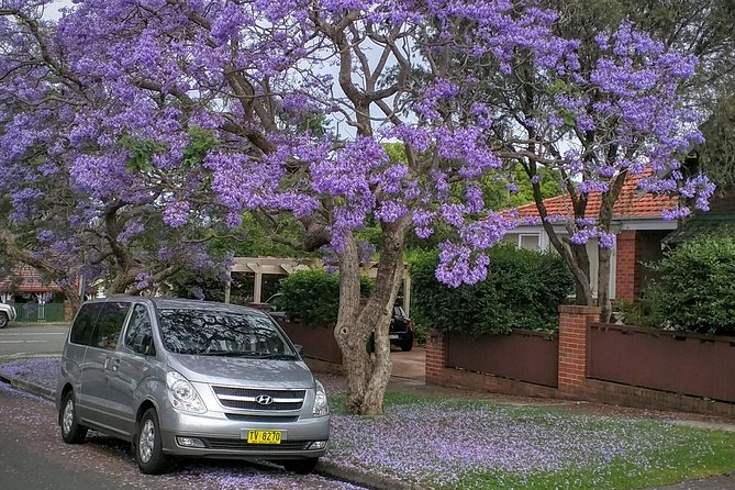 Sydney Secrets and Bondi Beach 4 HOUR MORNING PRIVATE TOUR - What You’re Really Paying For at $294.07 Per Person