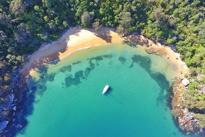 Sydney Secrets Lunch Cruise - Key highlights worth planning for