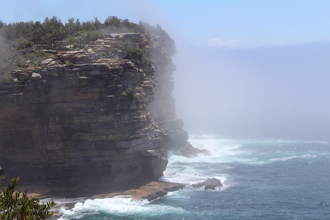 Sydney Shore Excursion: Half-Day Sydney City Highlights and Manly - Manly Corso Walk: Your Northern Beaches Payoff