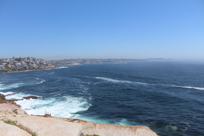 Sydney Shore Excursion: Half-Day Sydney City Highlights with Bondi Beach and Watsons Bay - Shore excursion flow: why this half-day works for cruise time