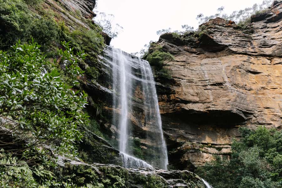 Sydney: Small Group Blue Mountains, Wildlife & Waterfalls - Key things worth knowing before you go