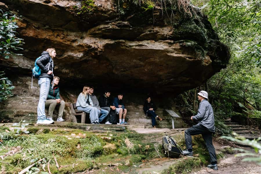 Sydney: Small Group Blue Mountains, Wildlife & Waterfalls - Price and value: what $126 gets you (and what it does not)