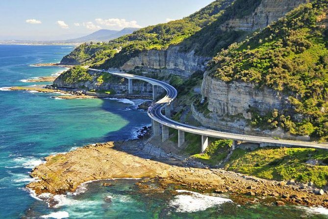 Sydney South Coast to Country Private Tour | Grand Pacific Drive - Hotel Pickup, Seatbelts, and the Reality of a 7:30am Start