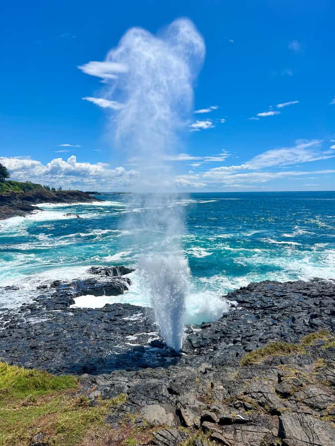 Sydney: Southern Highlands and South Coast Private Tour - Kiama Blowholes and the ocean’s pressure show