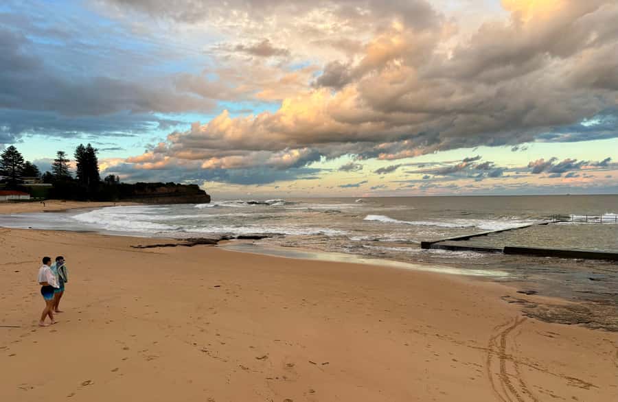 Sydney: Southern Highlands and South Coast Private Tour - Fitzroy Falls: the 80-meter drop and that forest-valley feeling