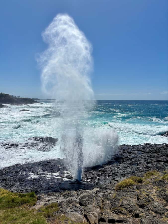 Sydney: Southern Highlands and South Coast Private Tour - Winery and boutique produce shops: turning the countryside into snack time
