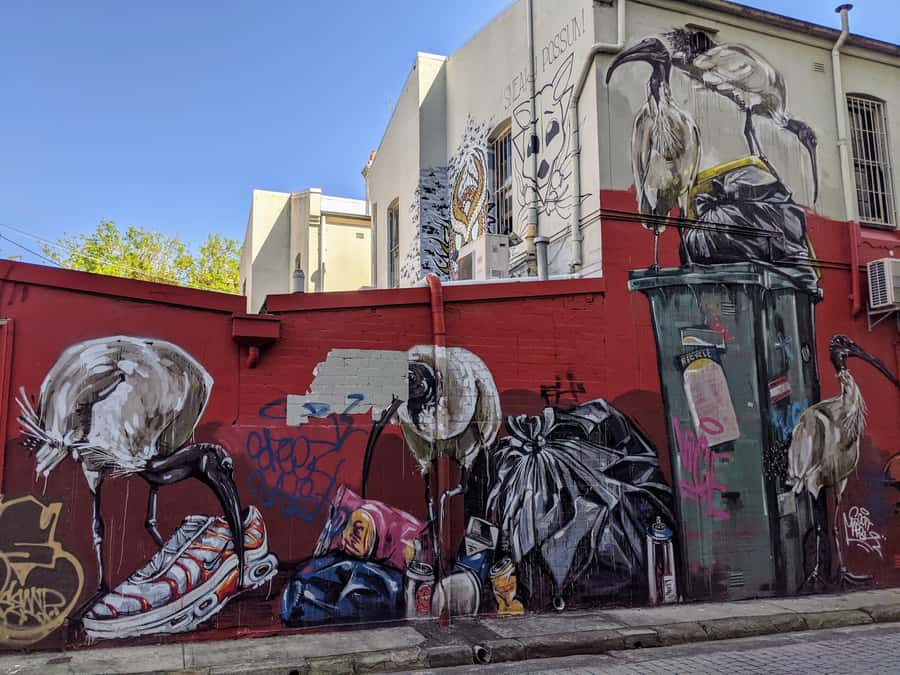 Sydney: Street Art & Small Bar Tour with Complimentary Drink - Key takeaways before you go