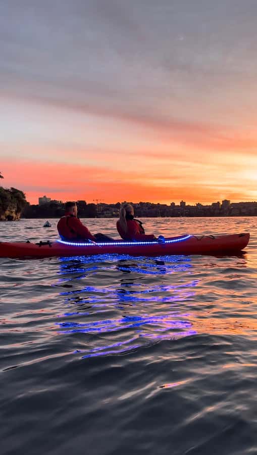 Sydney: Sunrise Kayak, Opera House & Under Harbour Bridge - Under the Harbour Bridge: where your camera wants you to slow down