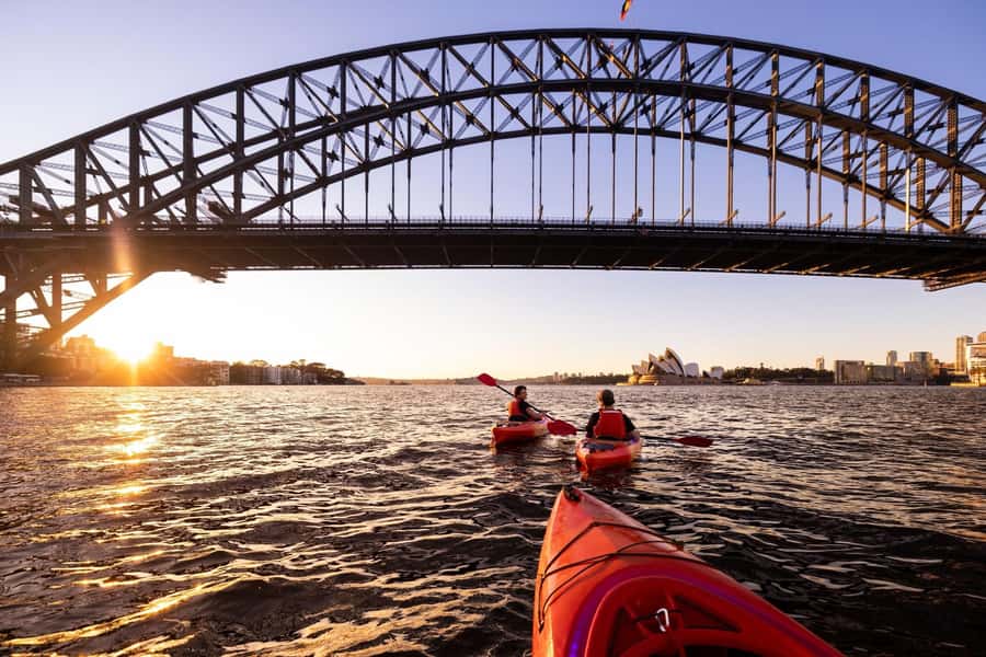 Sydney: Sunrise Kayak, Opera House & Under Harbour Bridge - Breakfast at Flying Bear Cafe: turning the trip into a real morning