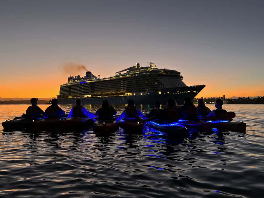 Sydney: Sunrise Kayak, Opera House & Under Harbour Bridge - Pricing and value: does $126 make sense for Sydney’s sunrise?
