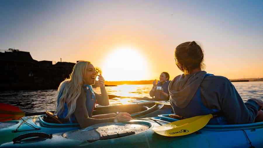 Sydney Sunrise Kayak Tour on Sydney Harbour - Price and Value: Is $106 a Fair Deal for 90 Minutes?