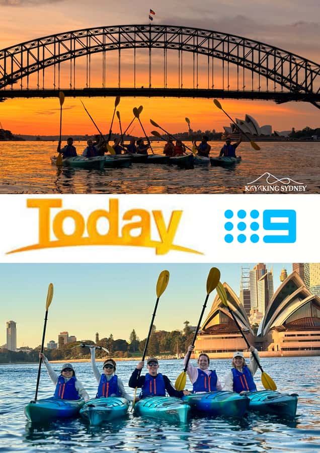 Sydney Sunrise Kayak Tour on Sydney Harbour - Safety Briefing and Paddle Setup: What You Need to Know