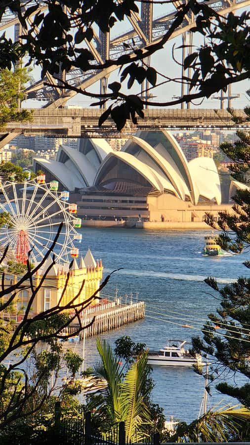 Sydney: Sunset Kayak - Opera & Harbour Bridge Tour (5p. max) - Price and value: what you get for $113 per person