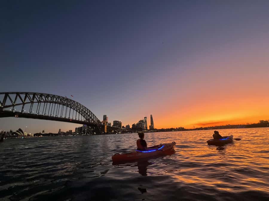 Sydney: Sunset Kayak Tour on Sydney Harbour - Paddling That’s Actually Enjoyable for Beginners