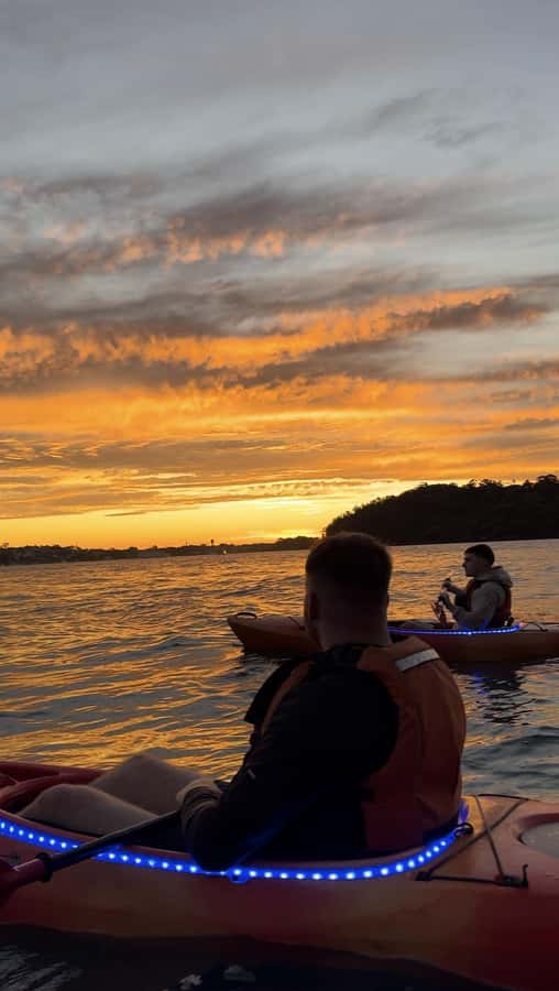 Sydney: Sunset Kayak Tour on Sydney Harbour - Guides Who Handle the Details (So You Get the View)