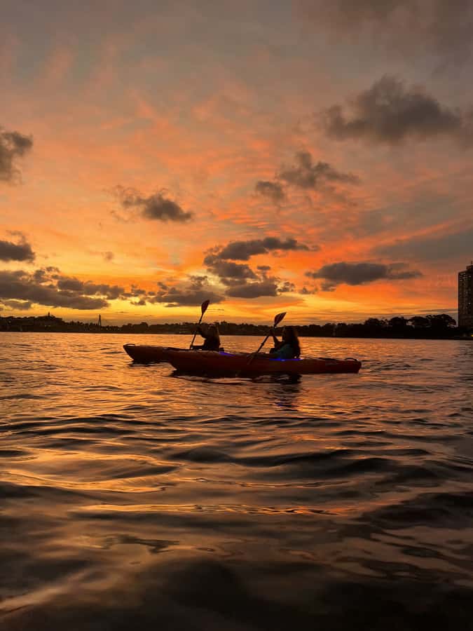 Sydney: Sunset Kayak Tour on Sydney Harbour - What to Wear and Bring for a Brisk Harbor Sunset