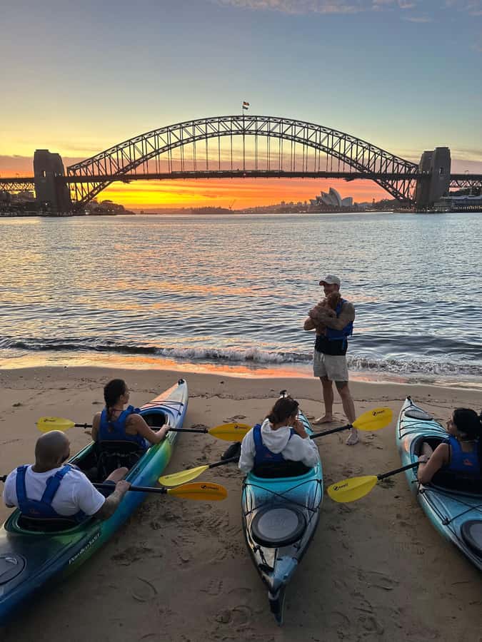 Sydney: Sunset Kayak Tour with Opera House Views - Key highlights you’ll actually care about