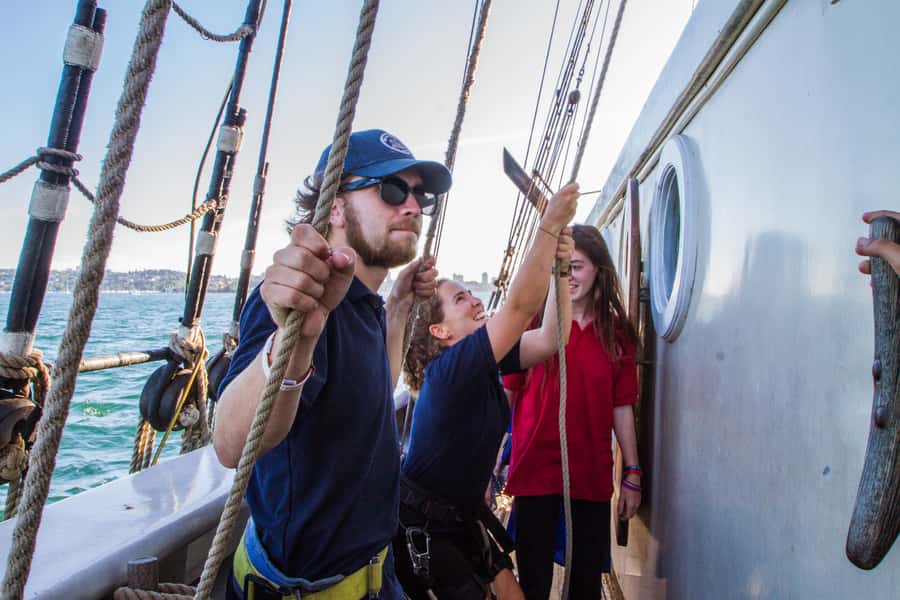 Sydney: Tall Ship Harbour Twilight Dinner Cruise - Value check: is $77 per person fair?