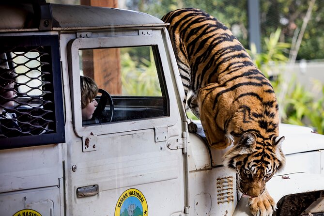Sydney Taronga Zoo General Entry Ticket - Price and Value: Is $39.45 a Fair Deal?