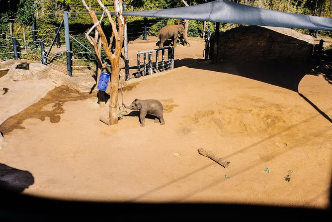 Sydney Taronga Zoo Wild Australia Experience - Restricted areas: the working zoo kitchen stop