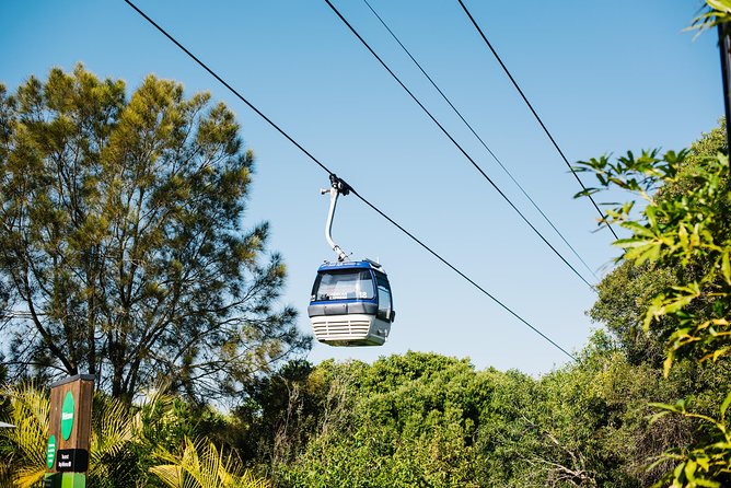 Sydney Taronga Zoo Wild Australia Experience - Price and value: what $129.10 buys (and where it can disappoint)