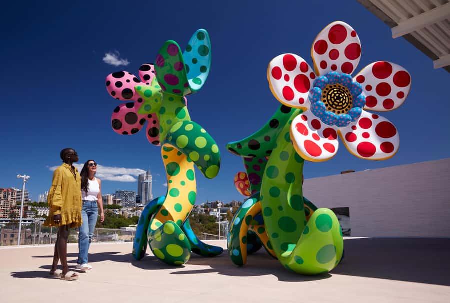 Sydney: Tickets & Tours at Art Gallery of New South Wales - Key Highlights You’ll Actually Feel