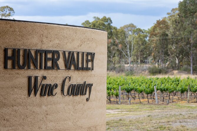 Sydney to Hunter Valley Wine Tour | Gin, Lunch, Chocolatier Visit - Keith Tulloch Wines After Lunch: Architecture, Mountain Views, and a Second Tasting