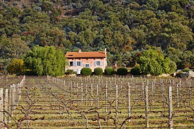 Sydney to Hunter Valley Wine Tour | Gin, Lunch, Chocolatier Visit - Optional Boutique Gin Tasting If You Want More Spirits