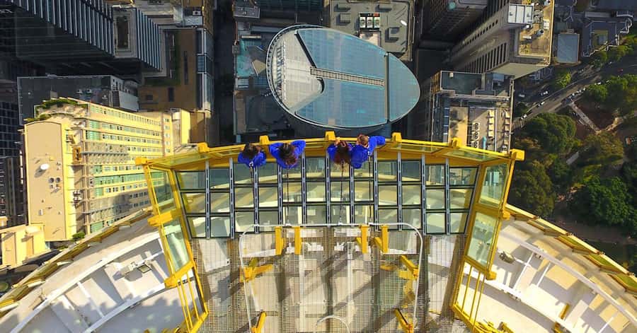 Sydney: Ultimate City Pass for 4 Attractions with Skywalk - WILD LIFE Sydney Zoo: all-Australian animal time next door