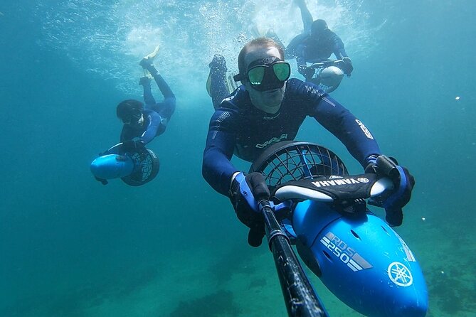 sydney underwater scooter tours - Key highlights before you go