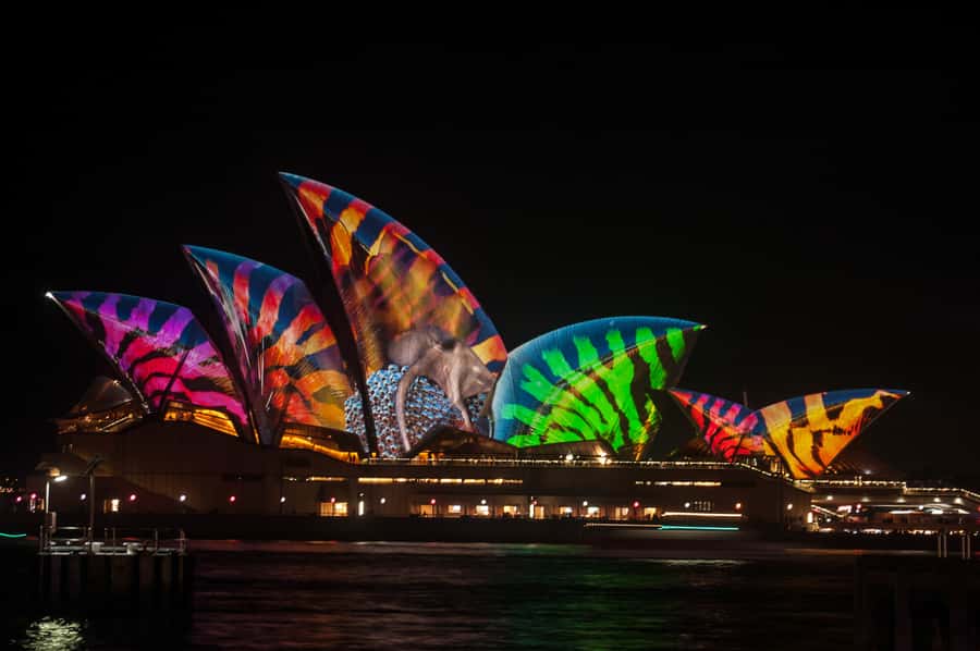 Sydney: Vivid Festival of Light Harbor Cruise with Dinner - King Street Wharf 6 and Boarding: Don’t Wait Where the Boat Isn’t