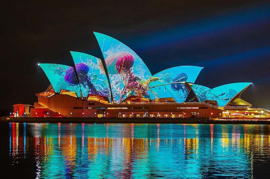 Sydney: Vivid Harbour Cruise with Canapes - The 90 minutes on the water: how the cruise actually plays out