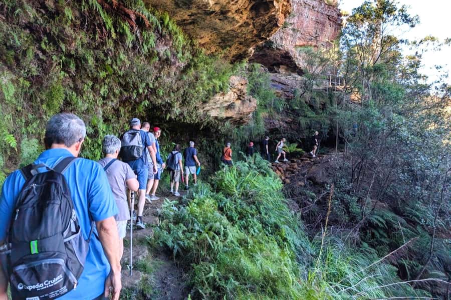 Sydney: Waterfall Bushwalk and Blue Mountain Sunset Day Trip - A late-start Blue Mountains day that actually feels relaxed