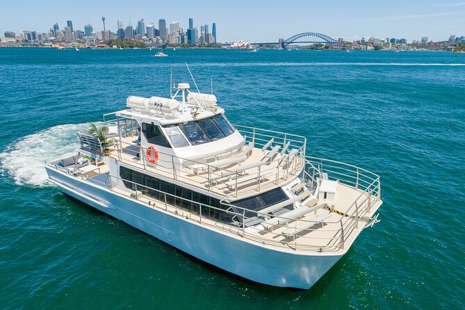 Sydney: Whale Watching Adventure Cruise - Key things that make this whale cruise worth it