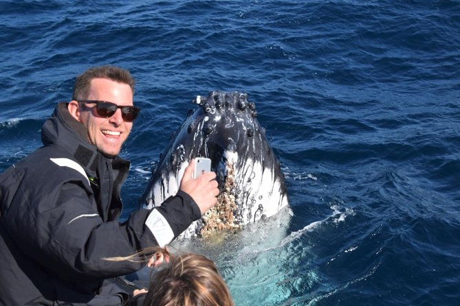 Sydney Whale-Watching by Speed Boat - How whale-spotting feels on a speedboat (and why it’s worth it)