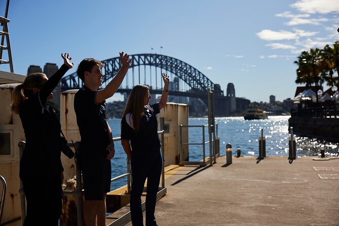 Sydney Whale-Watching Cruise Including Lunch or Breakfast - The onboard naturalist commentary: how it turns spotting into a skill