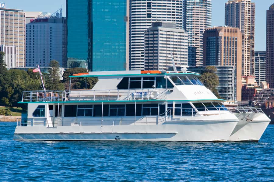 Sydney Whale Watching Cruise with Breakfast or Lunch - Should You Book Sydney Whale Watching with Breakfast or Lunch?