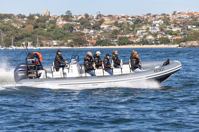 Sydney Whale Watching on Small RIB - Key things to know before you go