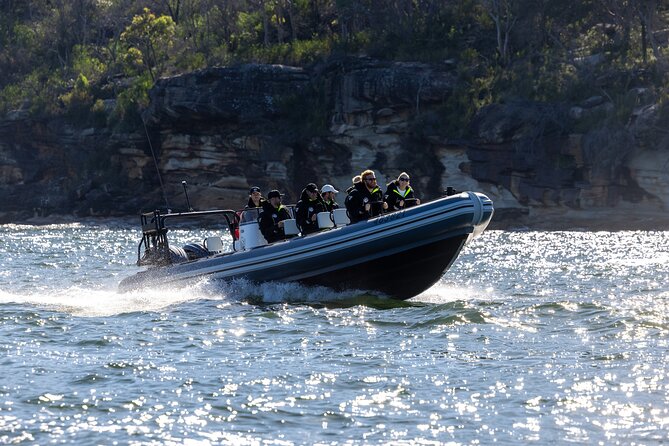 Sydney Whale Watching on Small RIB - Entering Circular Quay with big Sydney views