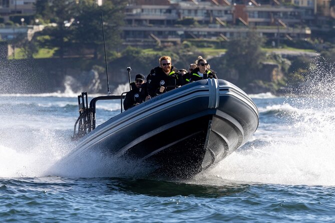 Sydney Whale Watching on Small RIB - Why the small RIB feels more personal than big boats