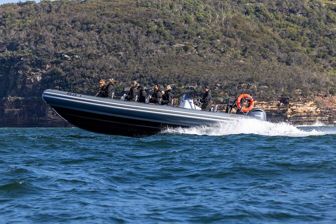 Sydney Whale Watching on Small RIB - The crew’s commentary: what makes spotting easier