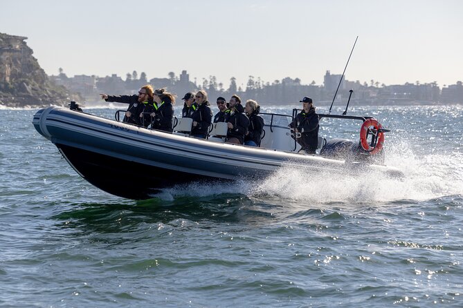 Sydney Whale Watching on Small RIB - Sydney Harbour highlights on the way to the ocean