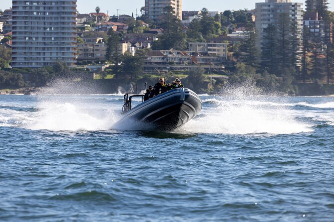 Sydney Whale Watching on Small RIB - The return journey: fast water, relaxed views