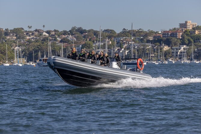 Sydney Whale Watching on Small RIB - Price and value: what $98.93 gets you
