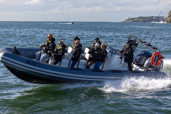 Sydney Whale Watching on Small RIB - Who should book this, and who might want a backup plan